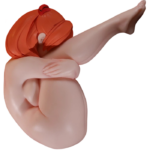 Asuka Fantasy Doll
