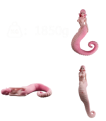 Fantasy Pink Snake Girl - Image 7